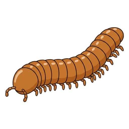 millipede