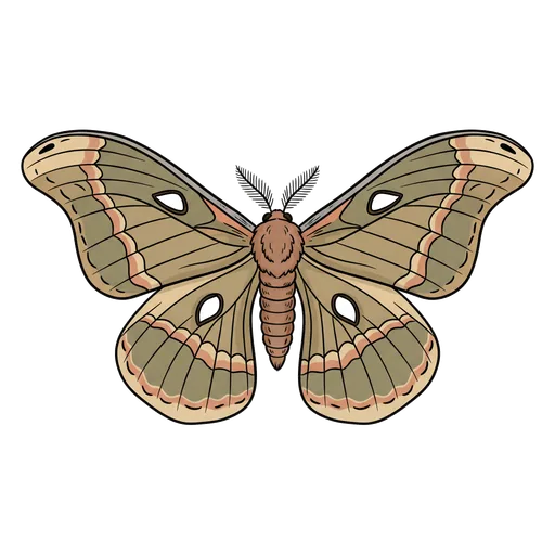 moth