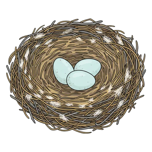 nest