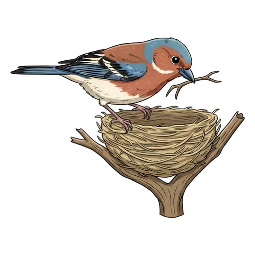 nest