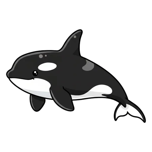 orca