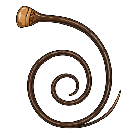 proboscis