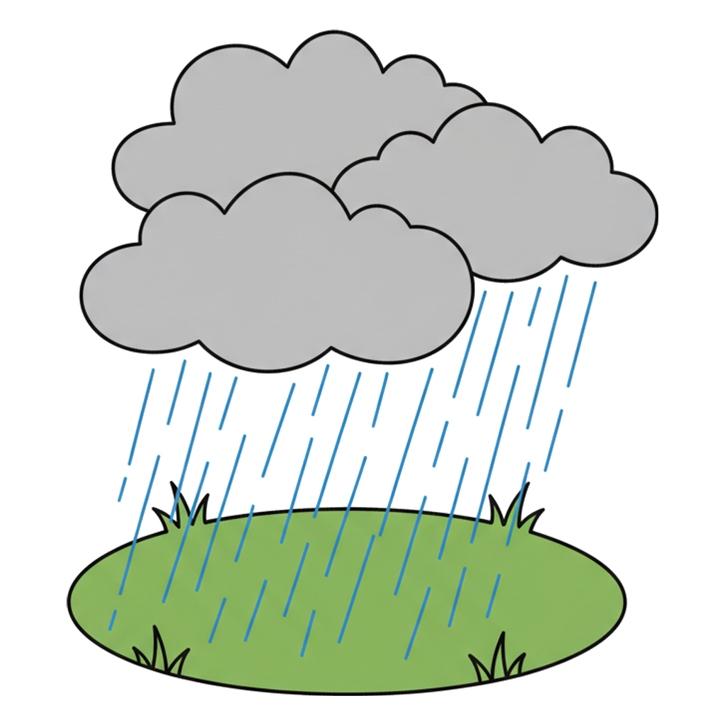 rainy