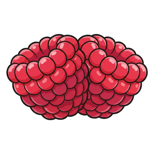 raspberry