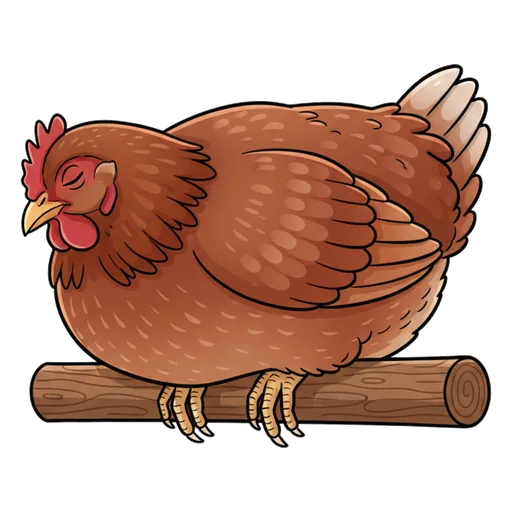 roost
