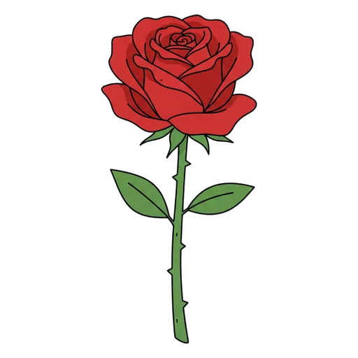 rose