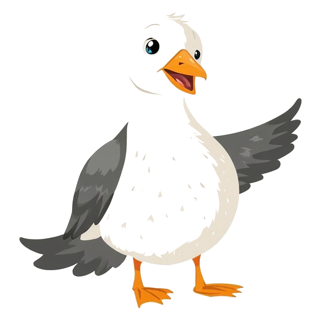 seagull