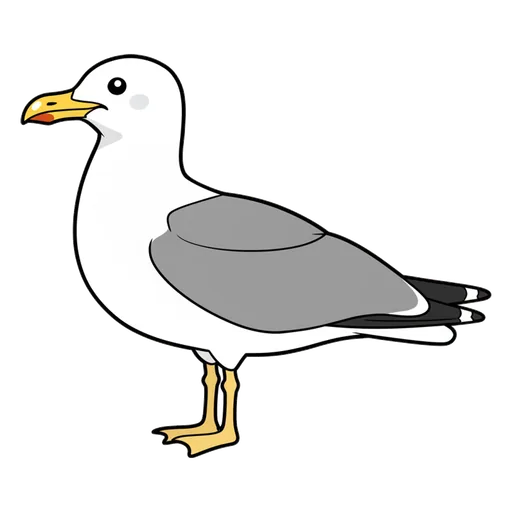 seagull