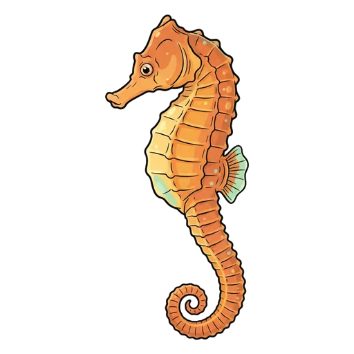 seahorse