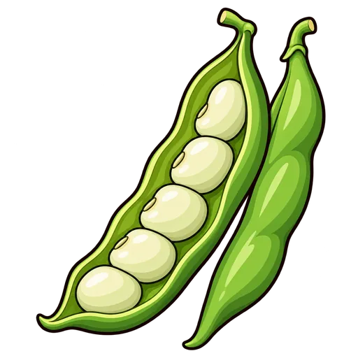 seed pod