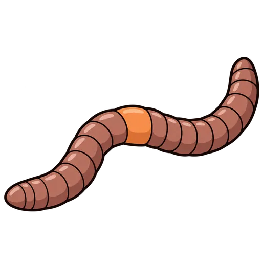 segment
