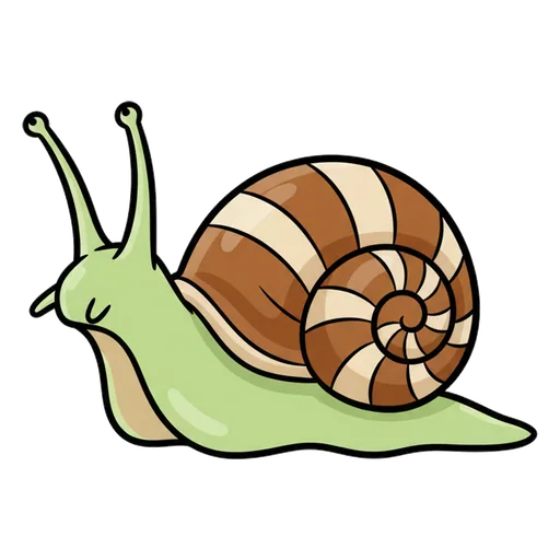 snail