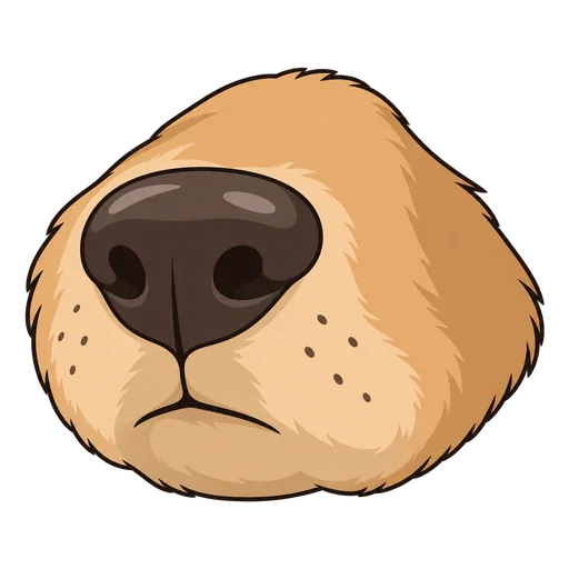 snout