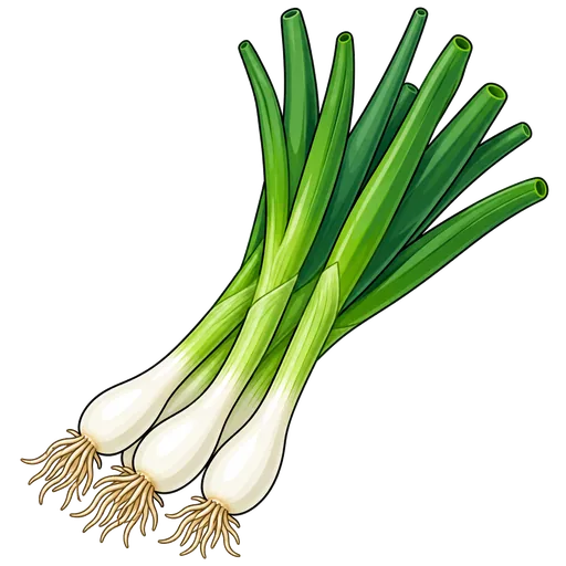 spring onion