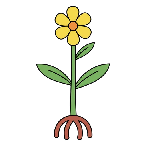 stem