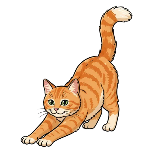 stretch