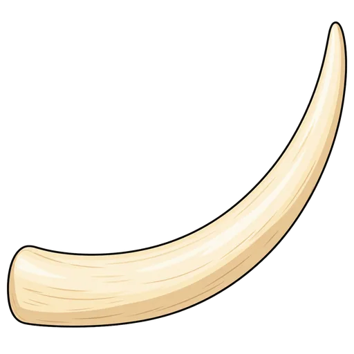 tusk