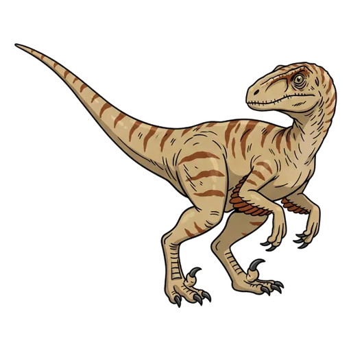 Velociraptor