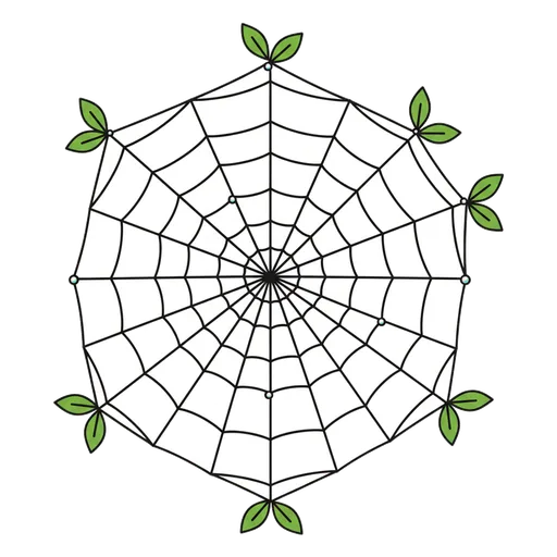 web