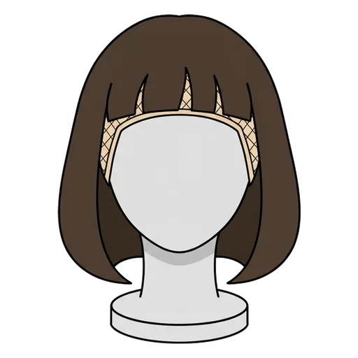 wig