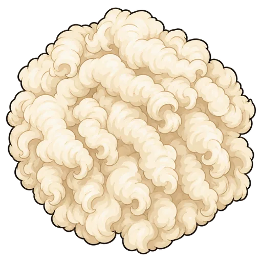 wool