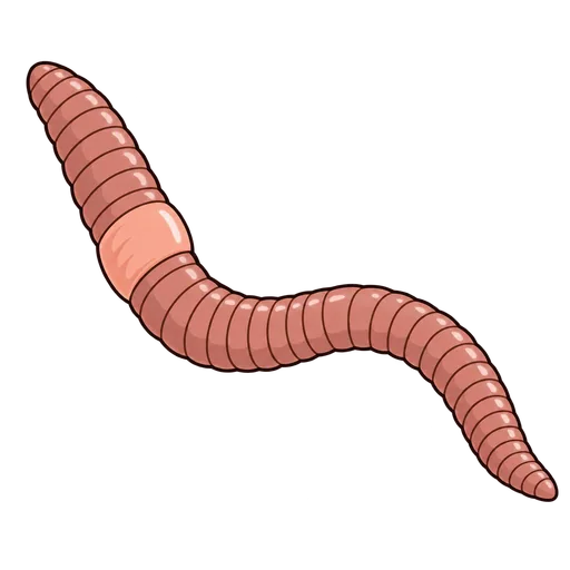 worm