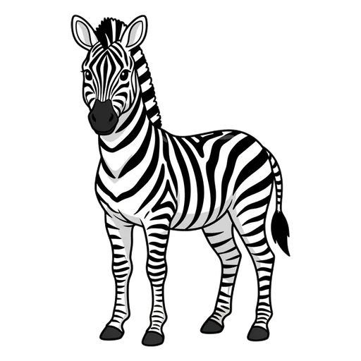 zebra